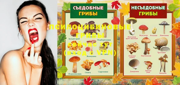 каннабис Алексин