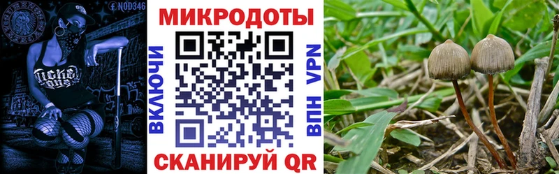Псилоцибиновые грибы мицелий Лангепас